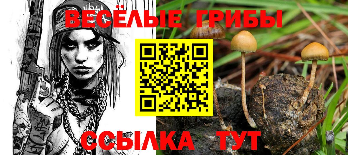 Удомля  Псилоцибиновые грибы мицелий  Псилоцибиновые грибы Magic Shrooms  Вход с VPN 